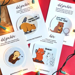Educational Zoo Lover Sticker Pack / Set / Otter, Quokka, + / Scrapbook Kit, Animal Science Kid, Student Gift 10, Baby Birthday Shower Favor