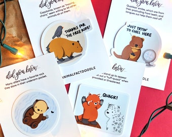 Educational Zoo Lover Sticker Pack/Set / Otter, Quokka, + / Scrapbook Kit, Animal Science Kid, Student Gift 10, Baby Birthday Shower Favor