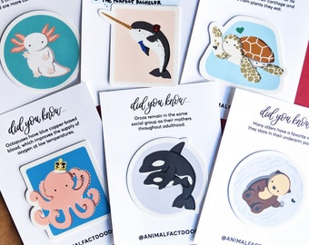 Marine Animal Science Sticker Set Pack / Octopus, Axolotl, Orca, Turtle, Narwhal + / Marine Biologist, Teacher, Vet Tech, Veterinarian Gift