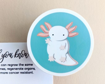 Axolotl Sticker or Ornament (Request) / Sea, Ocean, Marine Animal Science Lover, Zoologist, Coworker Gift 5 for Cute Yeti, iPad Accessory