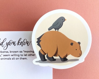 Capybara Sticker or Ornament (Request) // Veterinarian, Vet Tech, Student, Employee, Teens Gift 5; Car, Planner or Bullet Journal Accessory