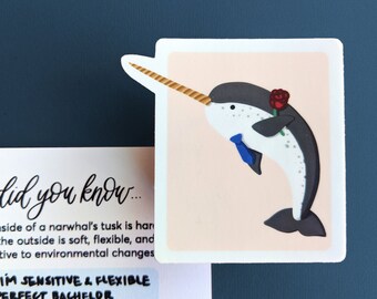 Narwhal Sticker / Bachelor / Bachelorette TV, Male Best Friend, Teenager, Marine Ocean Animal Lover Gifts; Suitcase Decor, Party Bag Filler