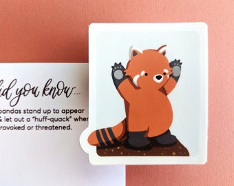 Turning Red Panda Sticker or Ornament (Request) / Cheap Teenager, College Student, Classmate, Zoo, Animal Lover Gift / Scrapbook Stationary