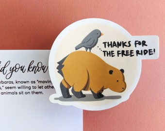 Rodent Capybara Animal Sticker / Ornament // Educational Gift for Kids, Drivers, College Student, Coworker as AnimalCross Hydroflask Charm