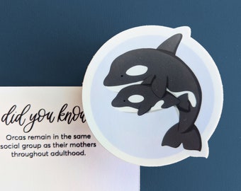 Orca Killer Whale Sticker / Ornament / Cheap Mothers Day Gift, Nautical Baby Shower Favor Under 5 10; Marine Biologist, Science Teacher Gift