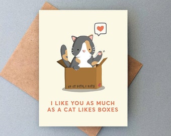 Funny Cat Calico Anniversary Card Box Set Gift / Ornament / I Like You, Valentine, Birthday; Cat Mom, Cat Dad, Cat Lady, Wife, Boyfriend