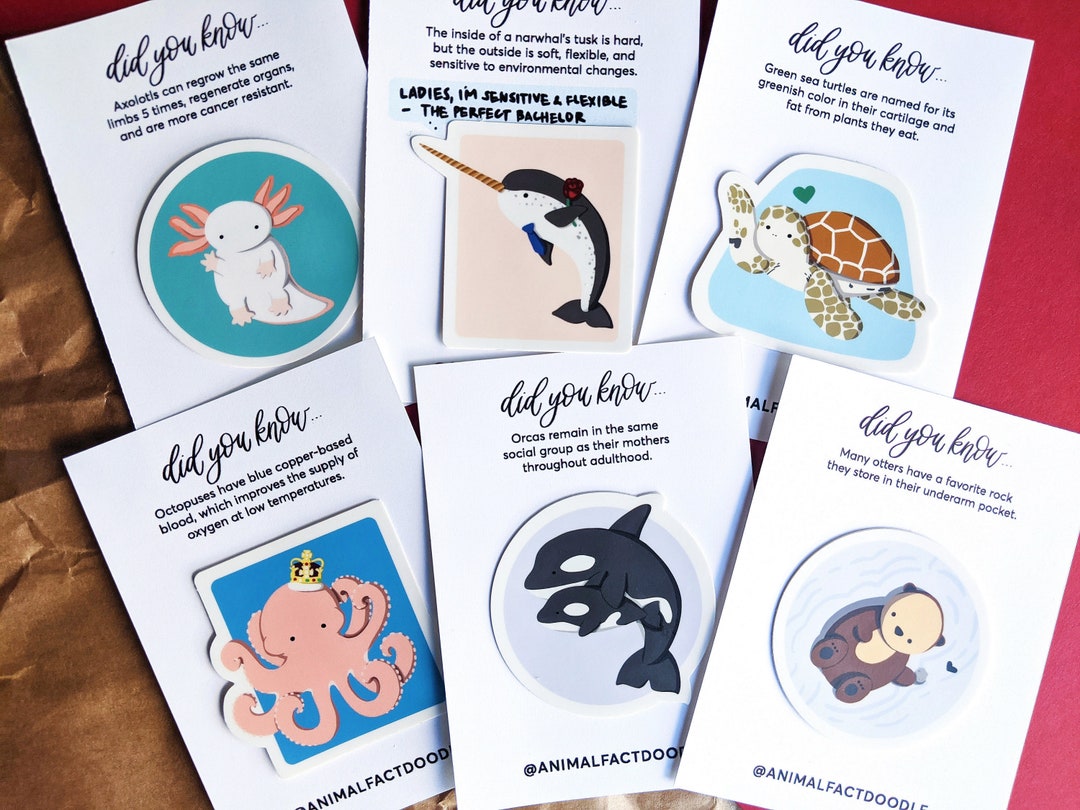 Science Fish Sticker Marine Animal Science Sticker Set Pack / Octopus, Axolotl, Orca, Turtle ...