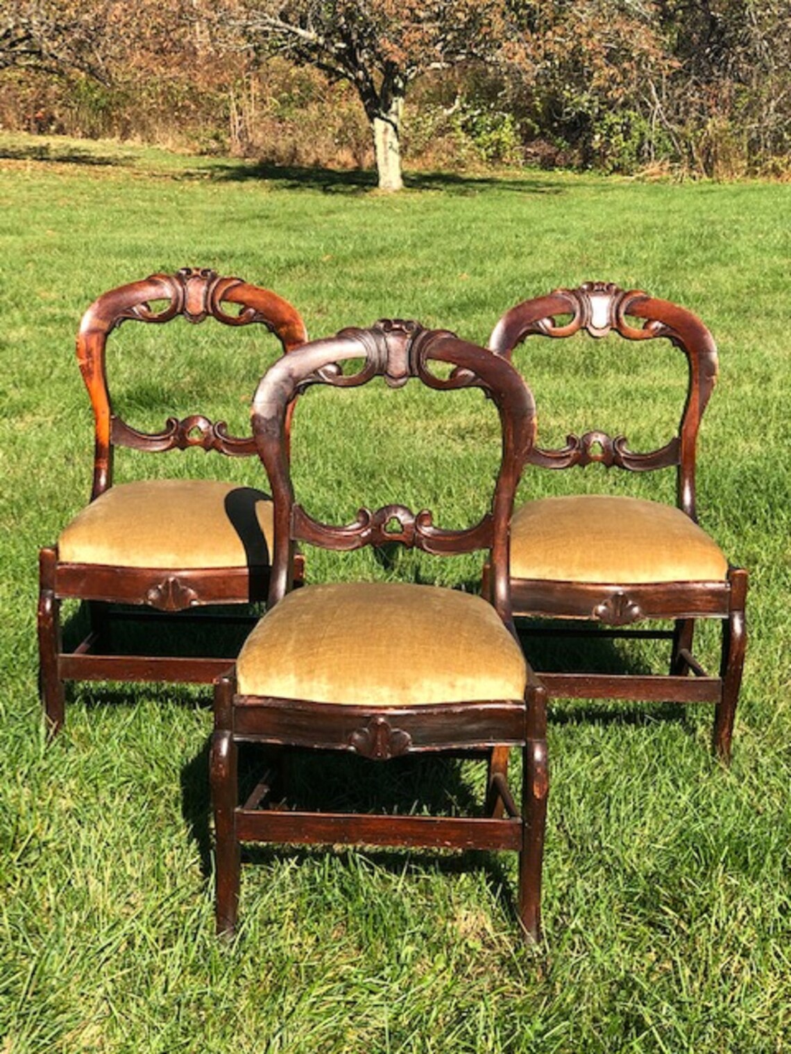 Customizable Victorian Dining Chairs Etsy
