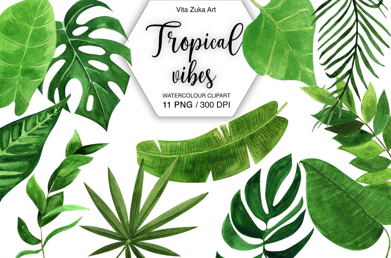 Jungle Leaves Clipart