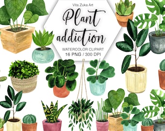 Cozy Home Decor Clipart - Watercolor Houseplants, Indoor Garden Graphics, Greenery Botanical Illustrations PNG