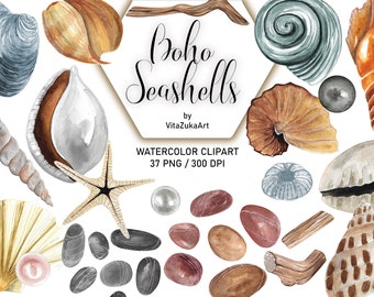 Watercolor Seashells Clipart: Boho Beach PNG Set (Digital Download)