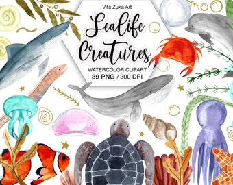 Watercolor Sea Life Clipart Set: Ocean Animals PNG (Digital Download)