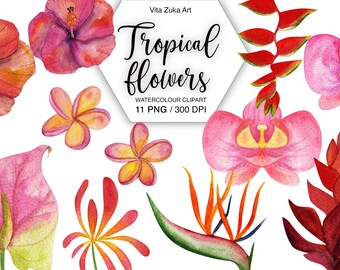 Watercolor Tropical Flower Clipart: Exotic Jungle PNG Set (Digital Download)