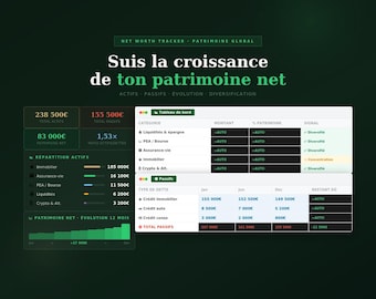 Net Worth Tracker Excel | Net Asset Tracking | Assets and Liabilities Trends | Wealth Tracker Google Sheets