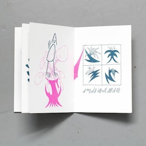 39260 - Fanzine riso