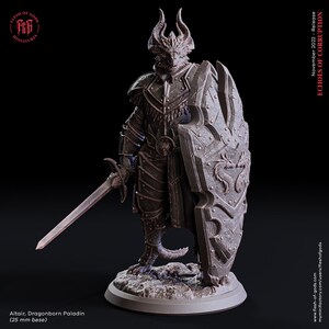 Op de afbeelding: Een gedetailleerd miniatuur van een drakengeboren paladin, geschilderd in een donkergrijs kleurenschema. De figuur draagt ​​een harnas en zwaait met een zwaard en schild. Het schild heeft een drakenontwerp. Het miniatuur staat op een 25 mm basis.