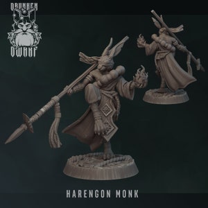 Harengon / Rabbitfolk Monk Miniature - Drunken Dwarf- D&D 5e - Dungeons and Dragons - Fantasy - Pathfinder - Tabletop