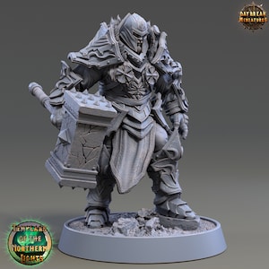 Carl Saturno- Human Miniature- Templars of the Northern Lights- Daybreak- D&D 5e- Dungeons and Dragons- Fantasy RPG Tabletop Games