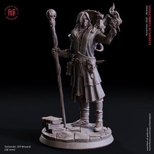 Elf / Half-Elf Wizard Miniature - Talandir - Echoes of Corruption - Flesh of Gods - D&D 5e - Dungeons and Dragons - Tabletop - Fantasy RPG