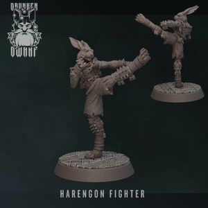 Harengon / Rabbitfolk Fighter / Monk Miniature - Drunken Dwarf- D&D 5e - Dungeons and Dragons - Fantasy - Pathfinder - Tabletop