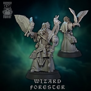 Wizard Forester- Wizards- Drunken Dwarf  - D&D 5e - Dungeons and Dragons - Fantasy RPG Tabletop Games - Pathfinder
