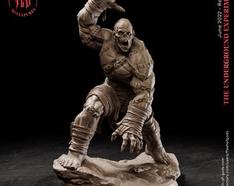 Flesh Golem Miniature - Large Construct - Underground Experiment - Flesh of Gods - D&D 5e - Dungeons and Dragons - Tabletop - Fantasy RPG