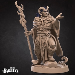 Tiefling Druid Miniature- Tieflings- Bite the Bullet -D&D 5e - Dungeons and Dragons - Pathfinder - Fantasy RPG Tabletop Games