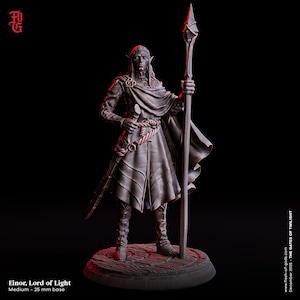 May include: A detailed figurine of Einor, Lord of Light, a fantasy character. The figure is clad in a long coat and cape, holding a staff and a sword. The base is 25 mm. The color palette is primarily shades of brown and gray.