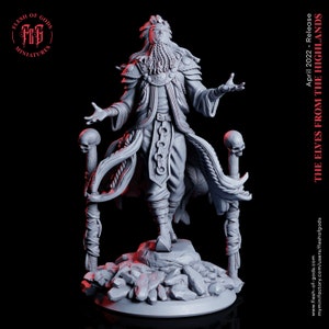 Elf / Half-Elf Shaman Miniature - Elves of Highland - Flesh of Gods - D&D 5e - Dungeons and Dragons - Tabletop - Fantasy RPG  Games