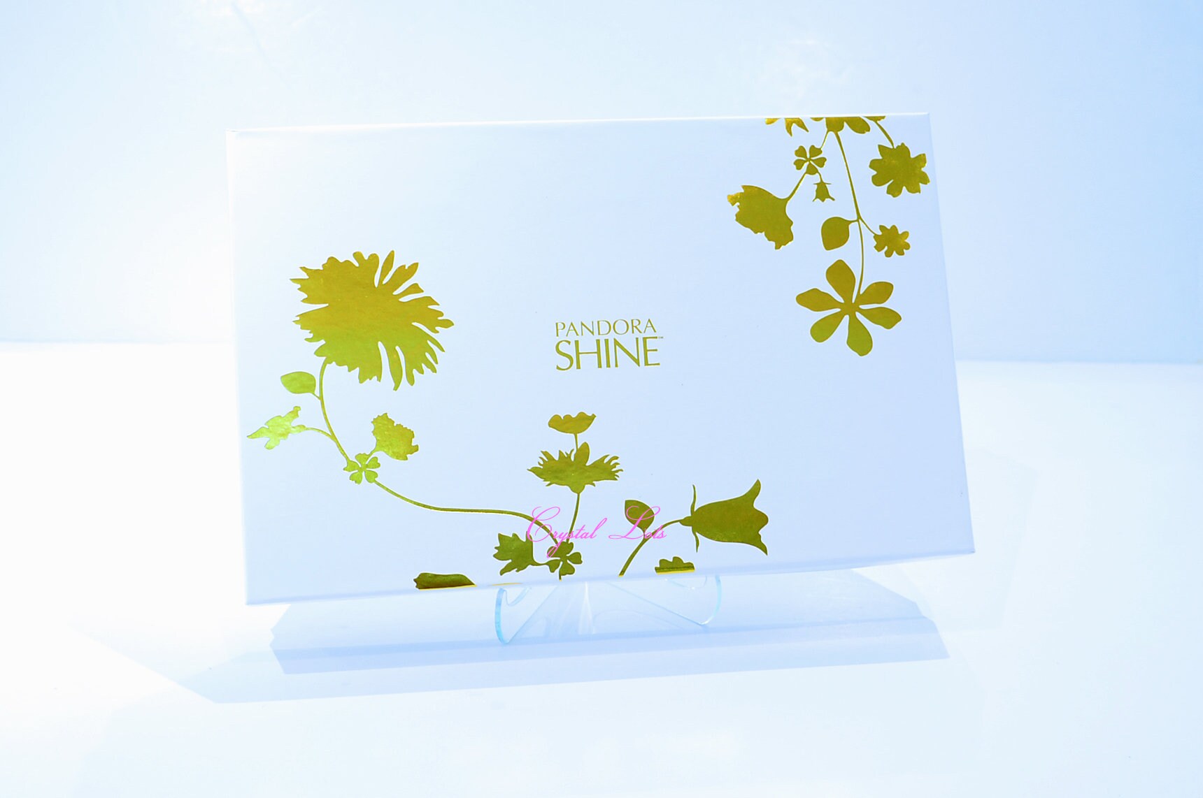 Pandora shine clutch store bag price