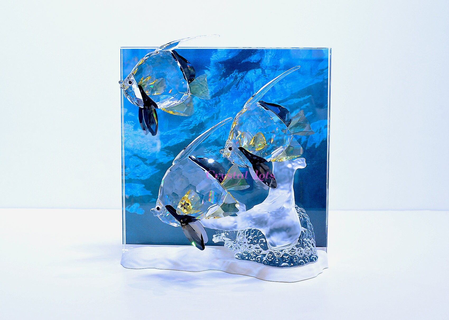 SWAROVSKI スワロフスキー Wonders of the sea Swarovski SCS Wonder of the Sea Collection 2007 Community