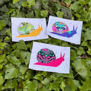 May include: Three whimsical art prints featuring colorful snail designs. Each print showcases a different creature: a green lizard, a raccoon, and a moth with a skull design. The snails have vibrant orange, purple, and pink shells.
