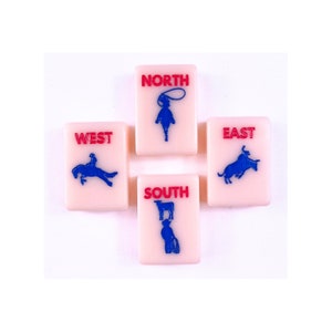 Texas Mahjong American Mah Jongg TX Mahj Tile Set Modern Colorful Creative Crack Bam Dot!