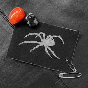 May include: A black patch with a white spider design, two red and black stones, and two safety pins.