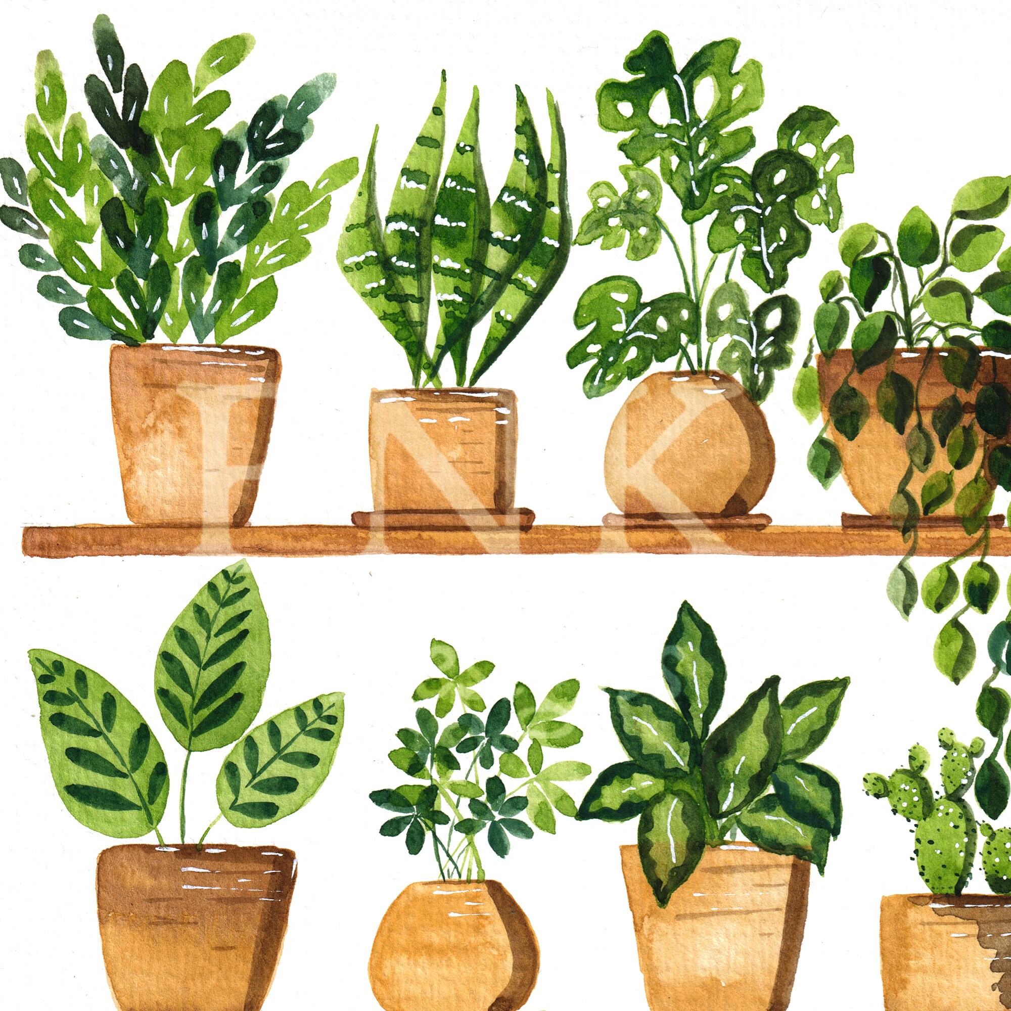 House plant plant artPotted plantsBoho wall decorPlant Etsy