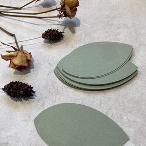 May include: Sage green leaf-shaped paper cutouts, with dried roses and pinecones. The leaves are stacked and arranged on a light grey surface, creating a natural, botanical theme.