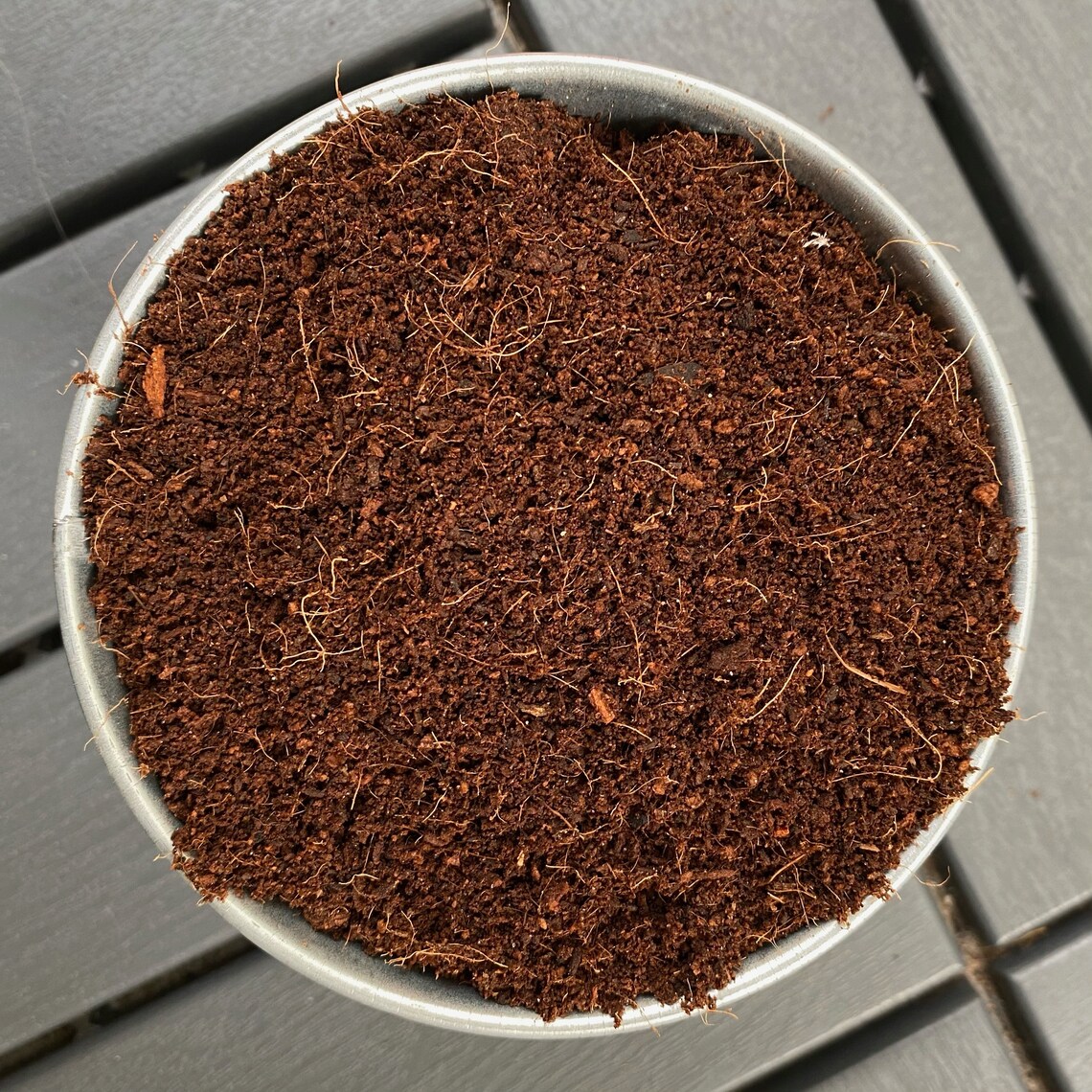 Premium Potting Soil Mix for Sansevieria / Snake Plant Soil Etsy