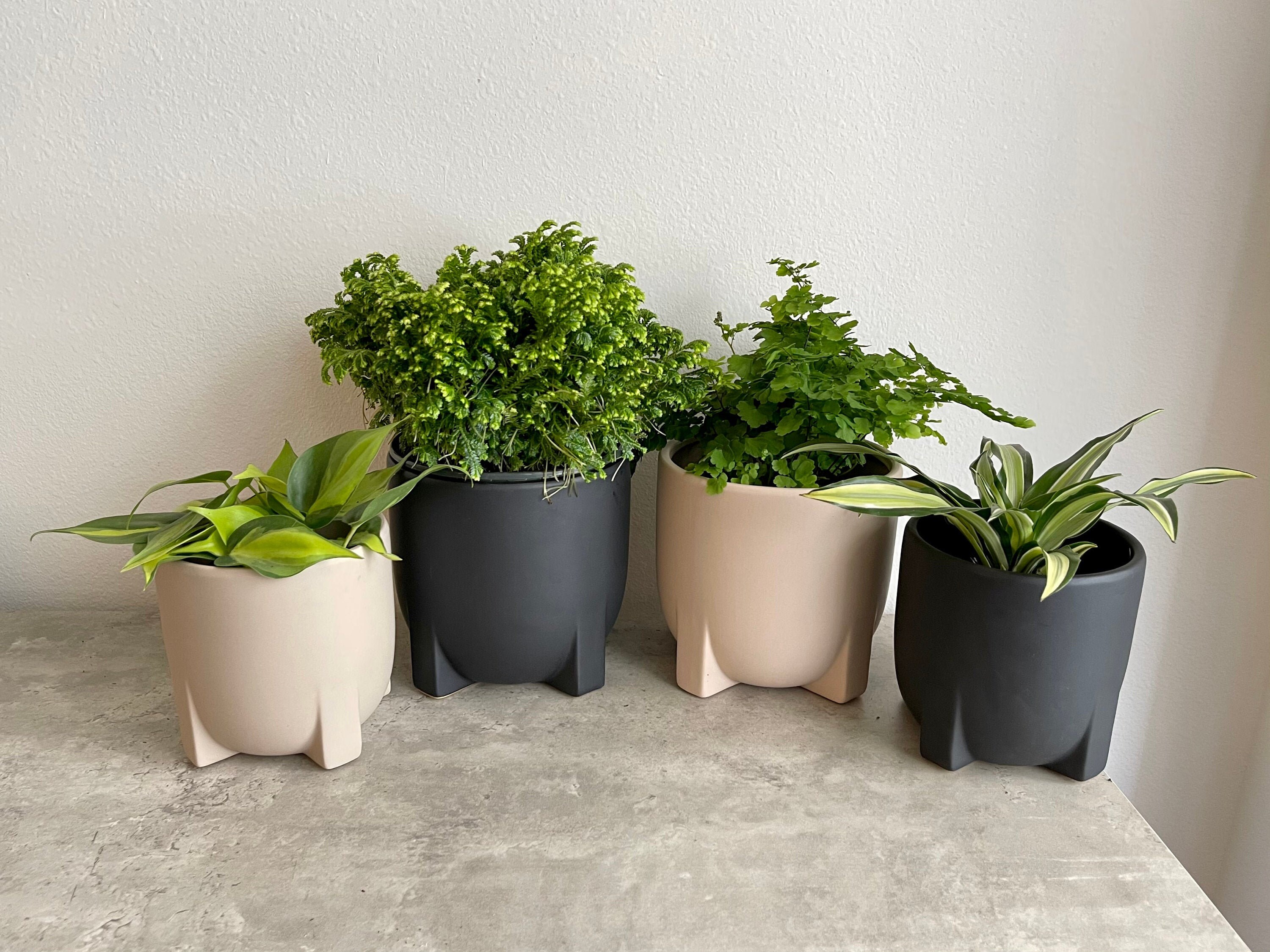 Matte Footed Planter Collection 5 6 / Modern Matte Etsy