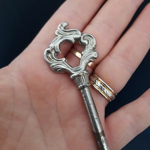 Può includere: Una chiave argentata ornata con un design decorativo e intricato sulla parte superiore. La chiave è tenuta in una mano.