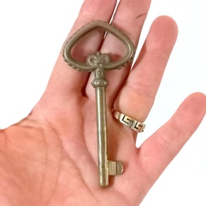 Può includere: Una chiave in stile antico con una parte superiore a forma di cuore e dettagli ornati. La chiave è realizzata in un materiale metallico con finitura vintage. Il design della chiave include un elemento decorativo a giglio. La chiave è tenuta in una mano.