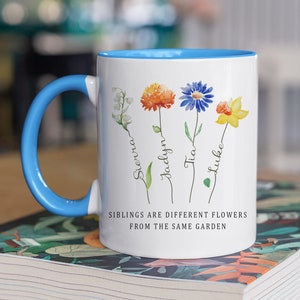 Sibling Gifts, Siblings Are Different Flowers Mug, Sisters Gifts from Sister, Gifts for Women, Big Little Sister Birthday Gifts, Coffee Mug