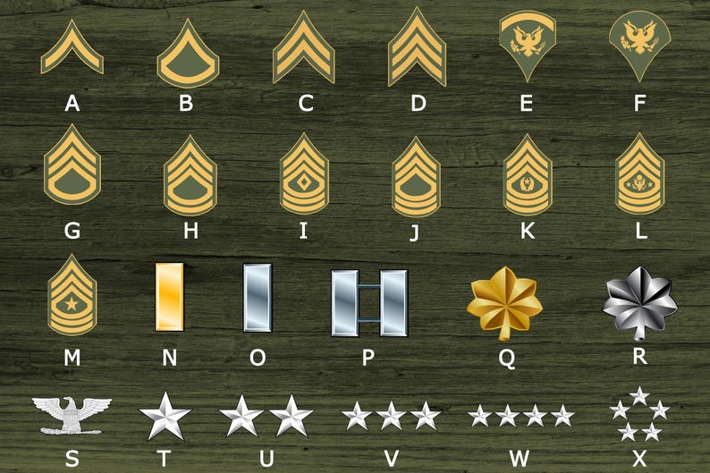 May include: A chart of military rank insignia for the United States Army. The chart shows the different ranks from Private to General, with the corresponding insignia for each rank. The insignia are displayed in a grid format, with the rank name and the insignia below it.