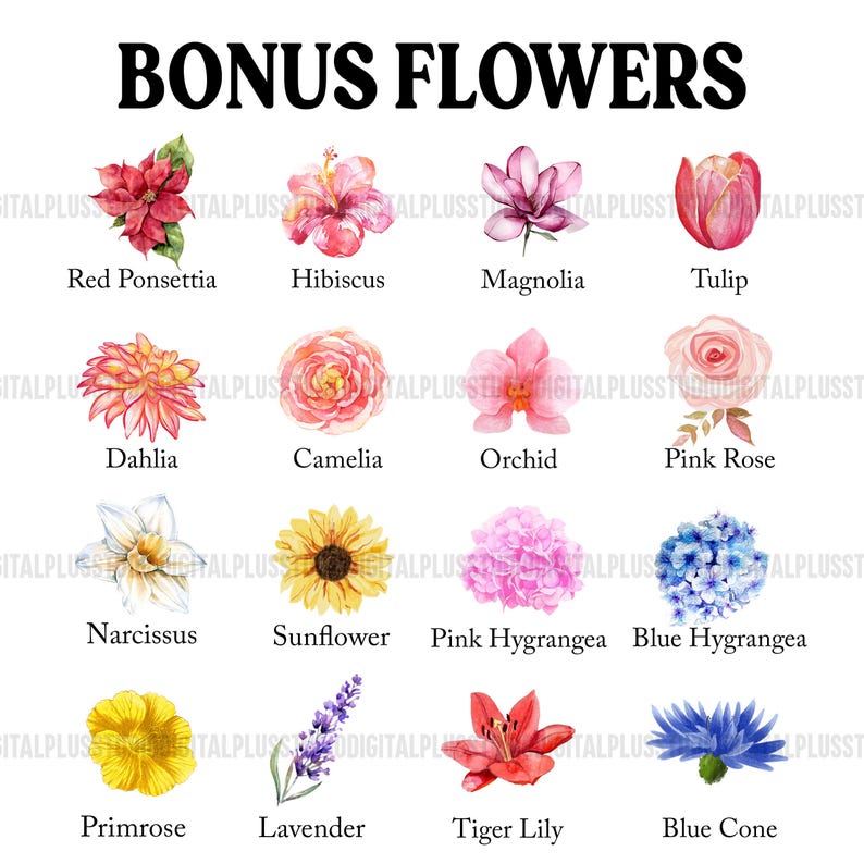 Best Friend Christmas Gifts, If Friends Were Flowers Coffee Mug