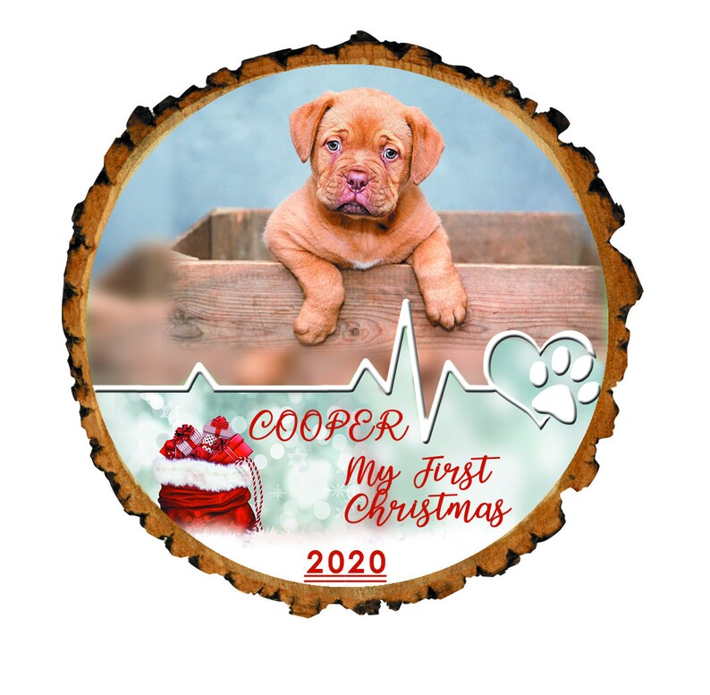 Personalized Pet Picture Ornament Pet Dog First Christmas Puppy Christmas First Christmas Ornament