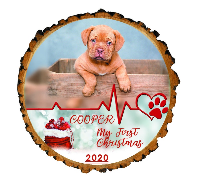Personalized Pet Picture Ornament Pet Dog First Christmas Puppy Christmas First Christmas Ornament