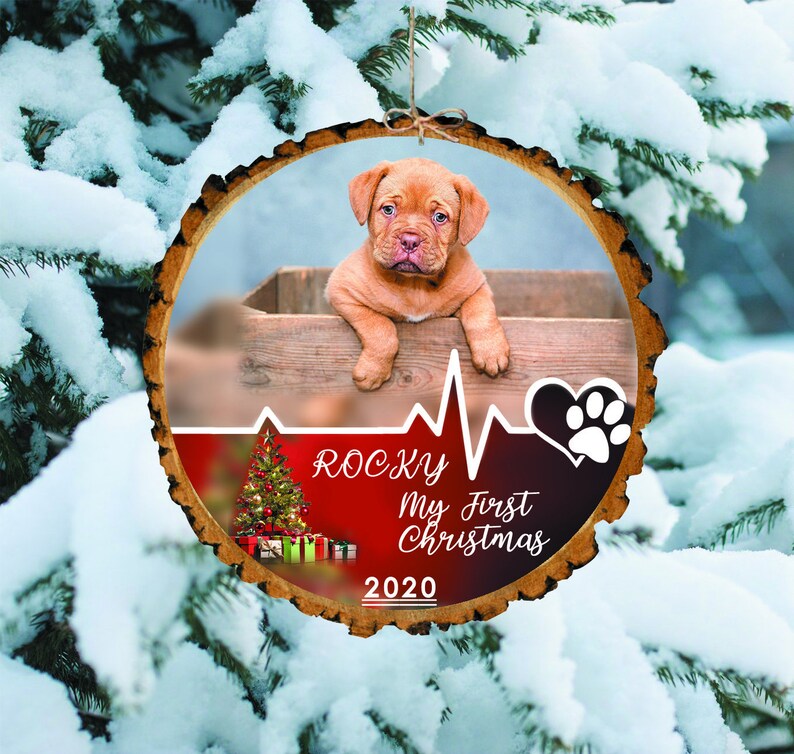 Personalized Pet Picture Ornament Pet Dog First Christmas Puppy Christmas First Christmas Ornament