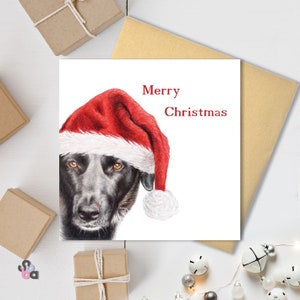 Kaylee - Weihnachtskarte. Gedruckt aus original Bleistiftzeichnung. Entzückende Tiere, die Weihnachtsmützen tragen.