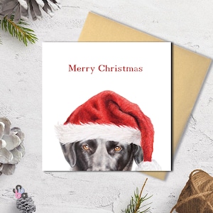 Kaylees Augen Weihnachtskarte. Gedruckt aus original Bleistiftzeichnung. Entzückende Tiere, die Weihnachtsmützen tragen.
