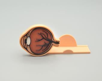 Tarjetero de anatomía ocular impreso en 3D