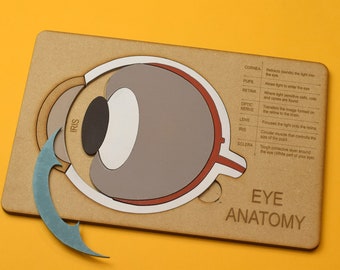 Rompecabezas de madera con anatomía ocular, regalo de optometría, optometrista, oftalmólogo, juguete de optometría, poder ocular, anatomía ocular, juguete ocular, regalo ocular